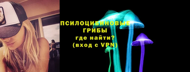 KRAKEN зеркало  Мамоново  Псилоцибиновые грибы Psilocybe 